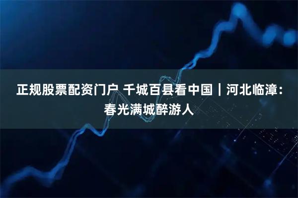 正规股票配资门户 千城百县看中国｜河北临漳：春光满城醉游人